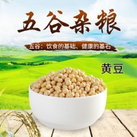 農(nóng)家自產(chǎn)大豆黃豆現(xiàn)磨豆?jié){五谷雜糧粗糧豆腐原料豆類散裝