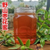 農(nóng)場(chǎng)蜂蜜棗花蜜 蜂農(nóng)自產(chǎn)自銷(xiāo)棗花原蜜貼牌 500g土蜂蜜批發(fā)