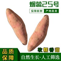 煙薯25蜜薯產地直發紅薯糖心沙地番薯烤地瓜新鮮流油現挖軟糯甜