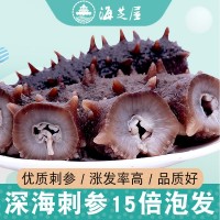 海芝屋大連純淡干海參底播刺參 海參干貨50克裝海參散裝批發(fā) 特產(chǎn)
