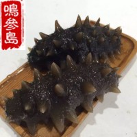大連海參長(zhǎng)?？h深海即食海參遼參500g一件代發(fā)口感好工廠加工批發(fā)
