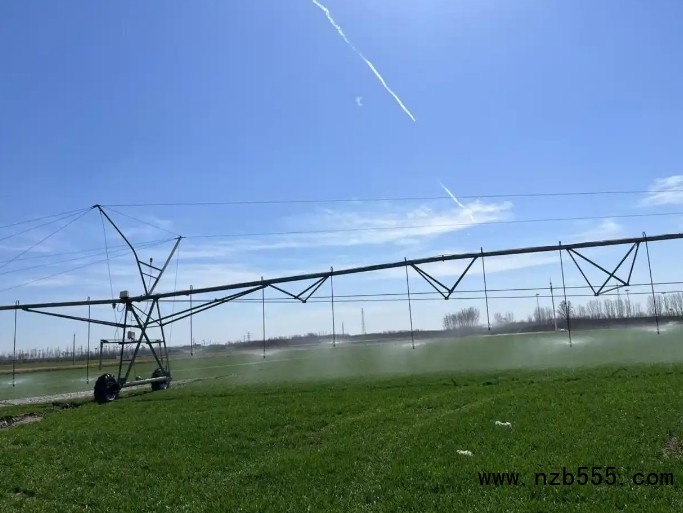 微信截圖_20250331165805